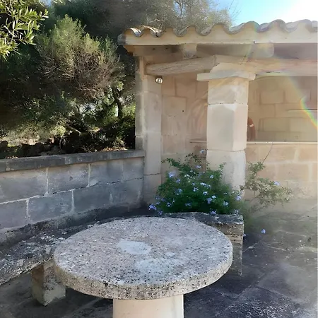 Son Salvador