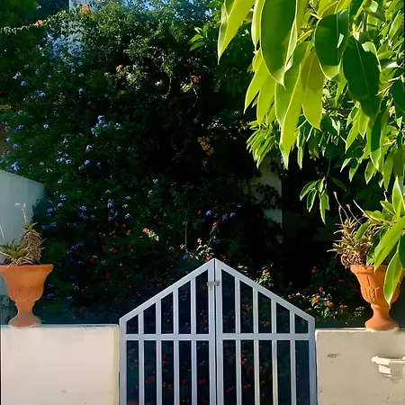 Son Salvador