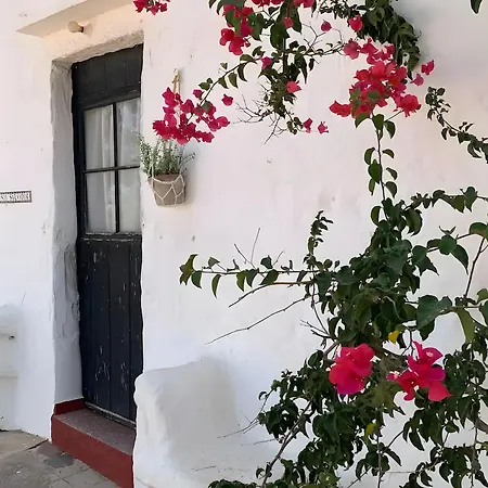 Villa Son Salvador